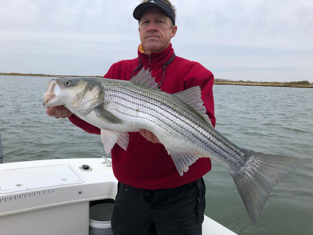 tangier sound striper