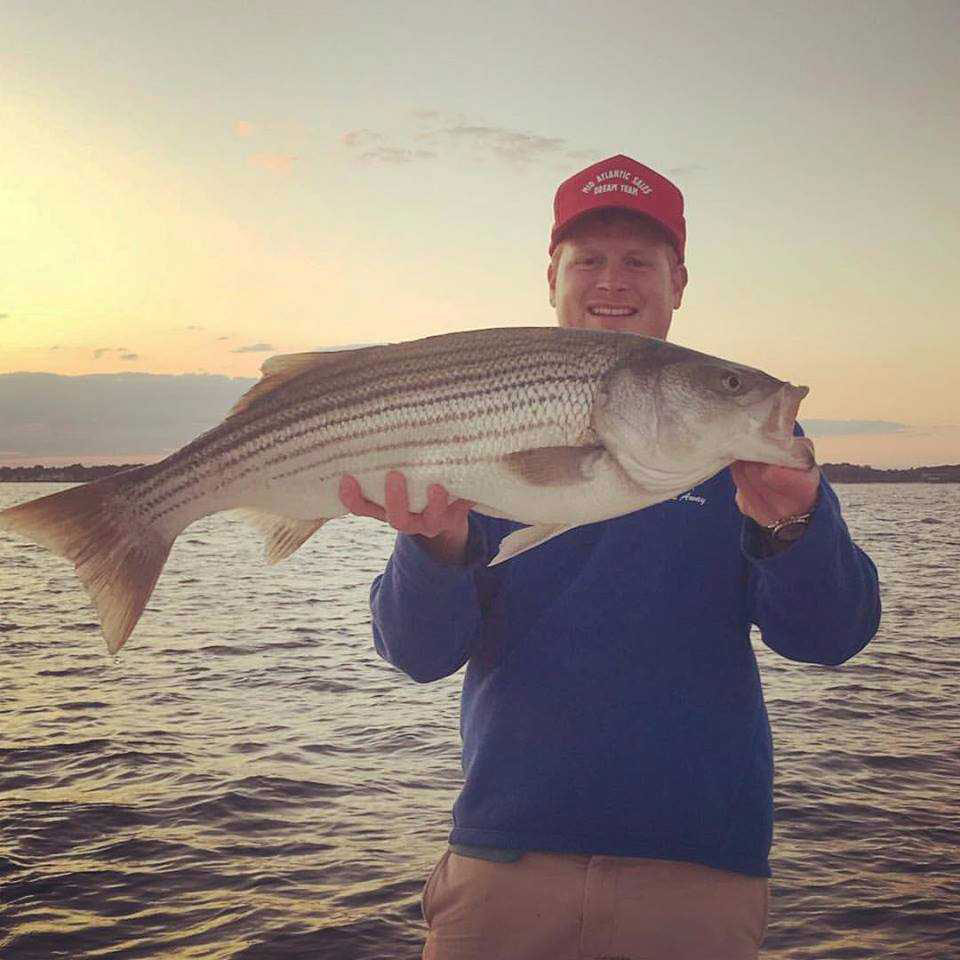 striped bass near thomas point