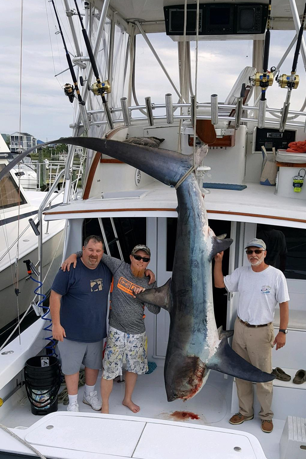 shark caught fishing