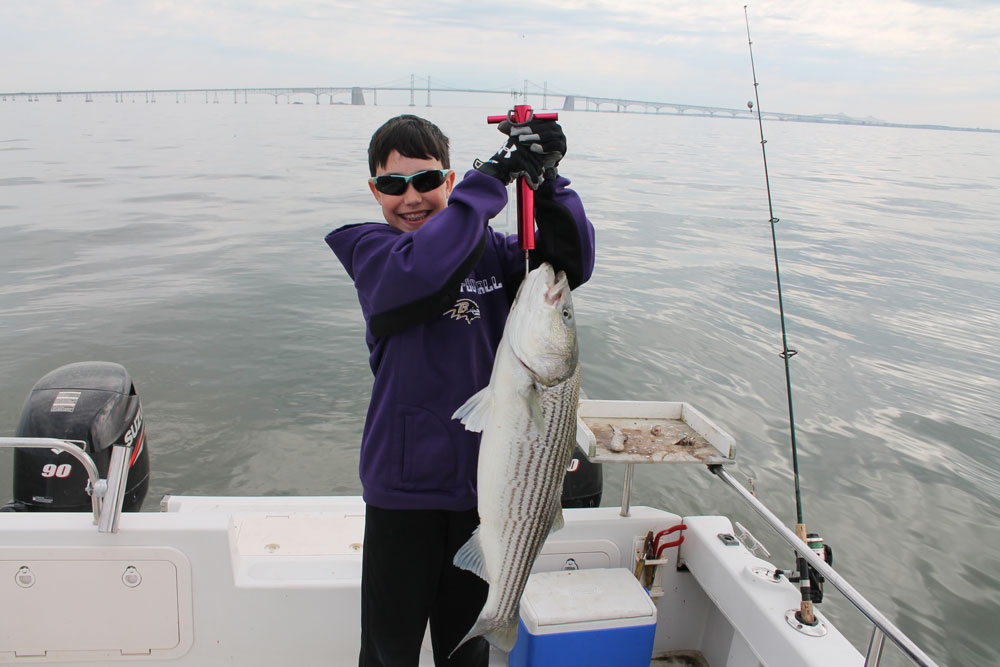 striper fishing with st croix rod