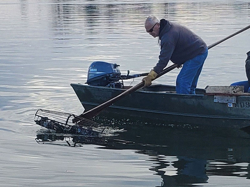 oysters caught tonging