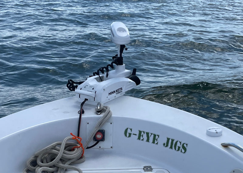 bow mount trolling motor