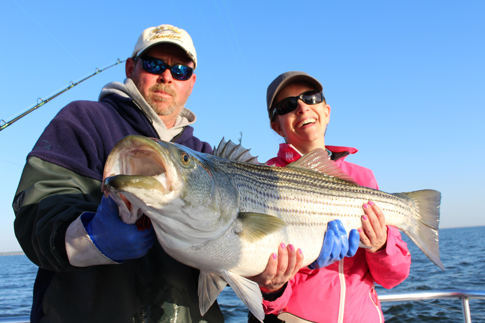 giant rockfish caught in chesapeake