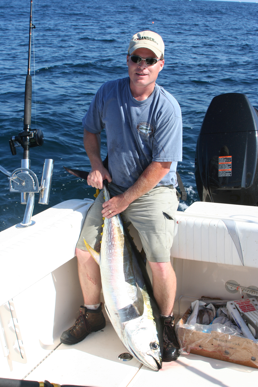 yellowfin tuna