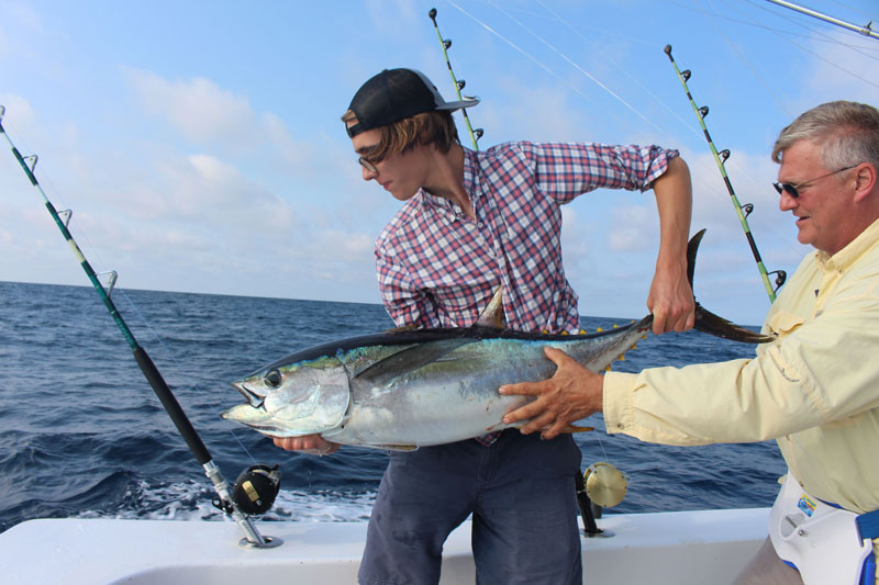 yellowfin tuna caught trolling offshore