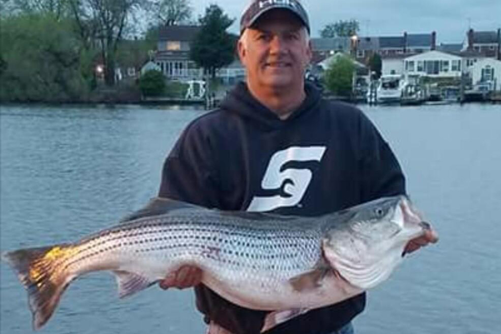 striper in upper bay