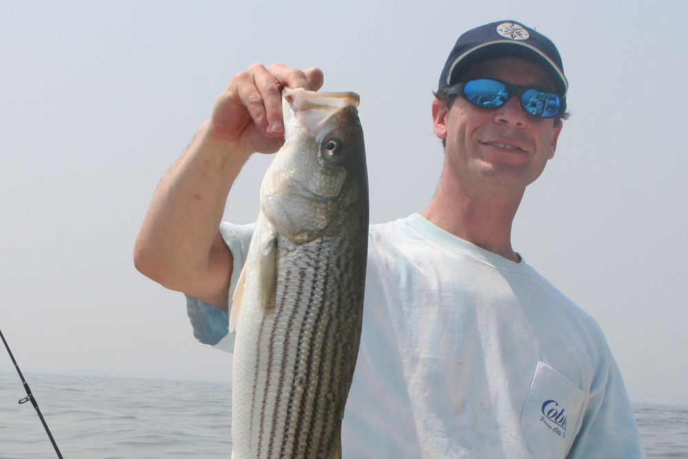 fishing the upper bay