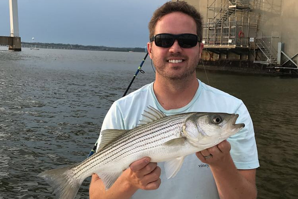 striper caught in the upper chesapeake