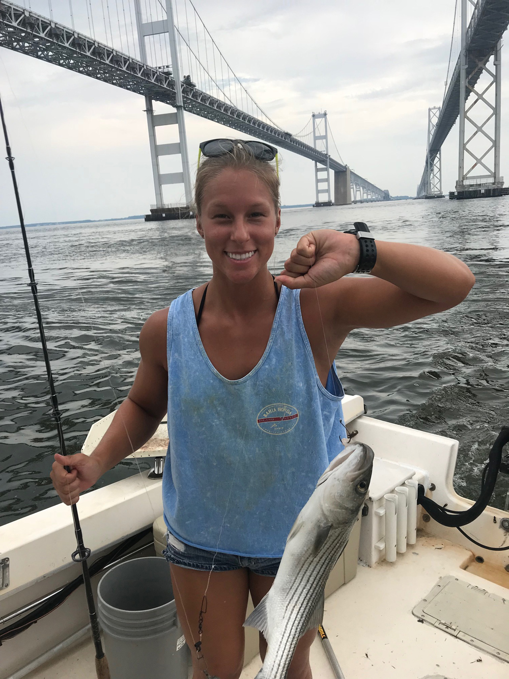 chesapeake bay bridge