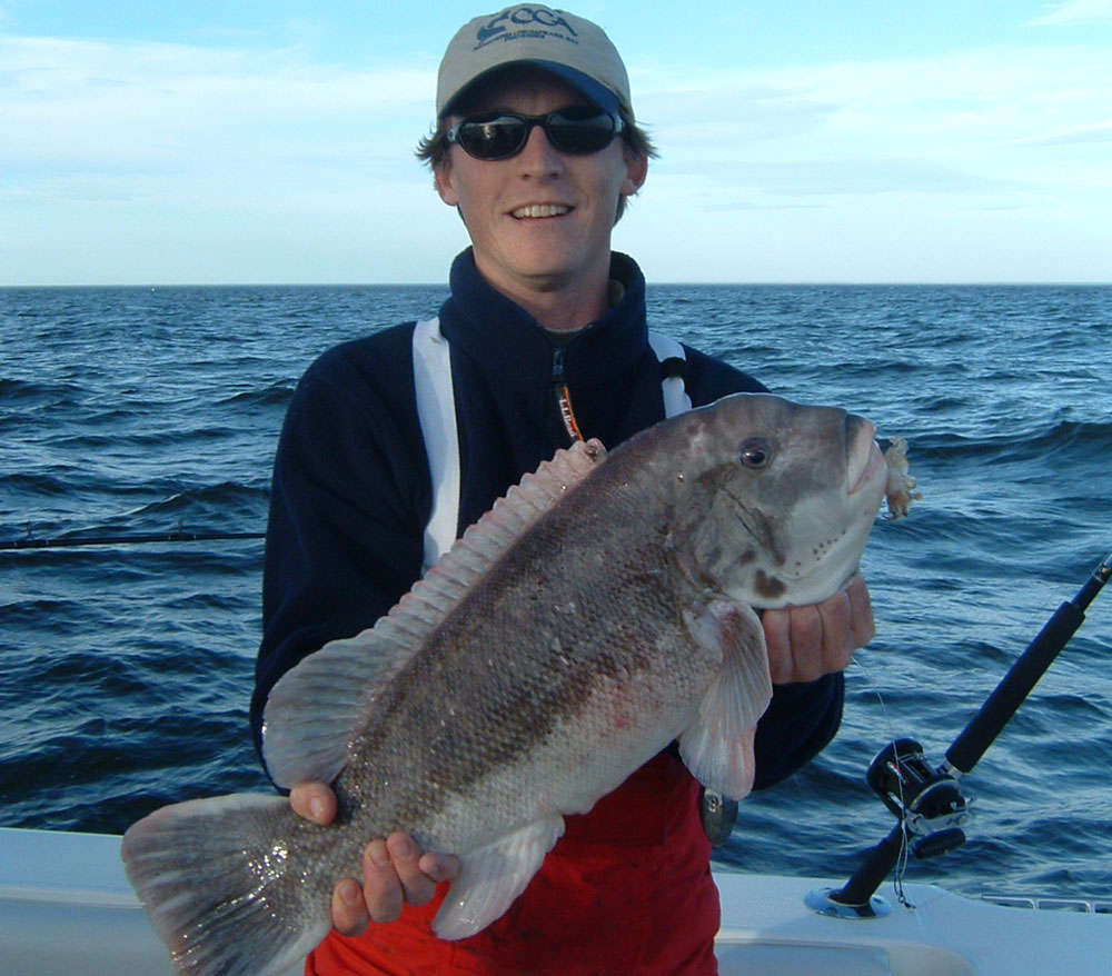 tautog fishing in virginia