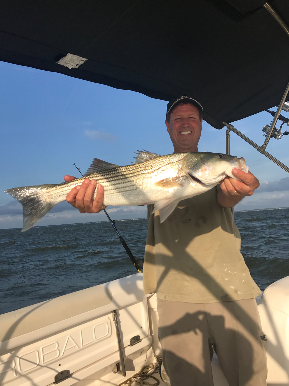 striper in west river