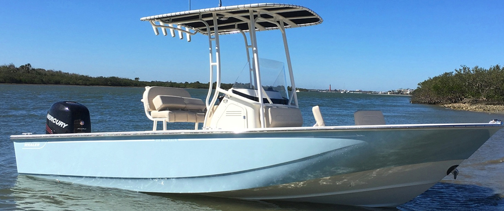 boston whaler montauk 210