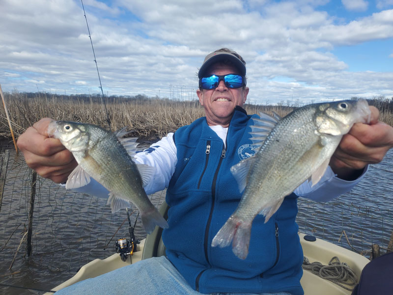 angler holding up white perch