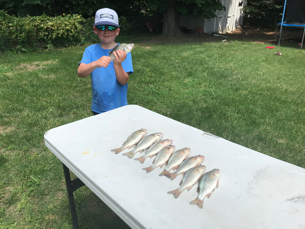 fishing for white perch