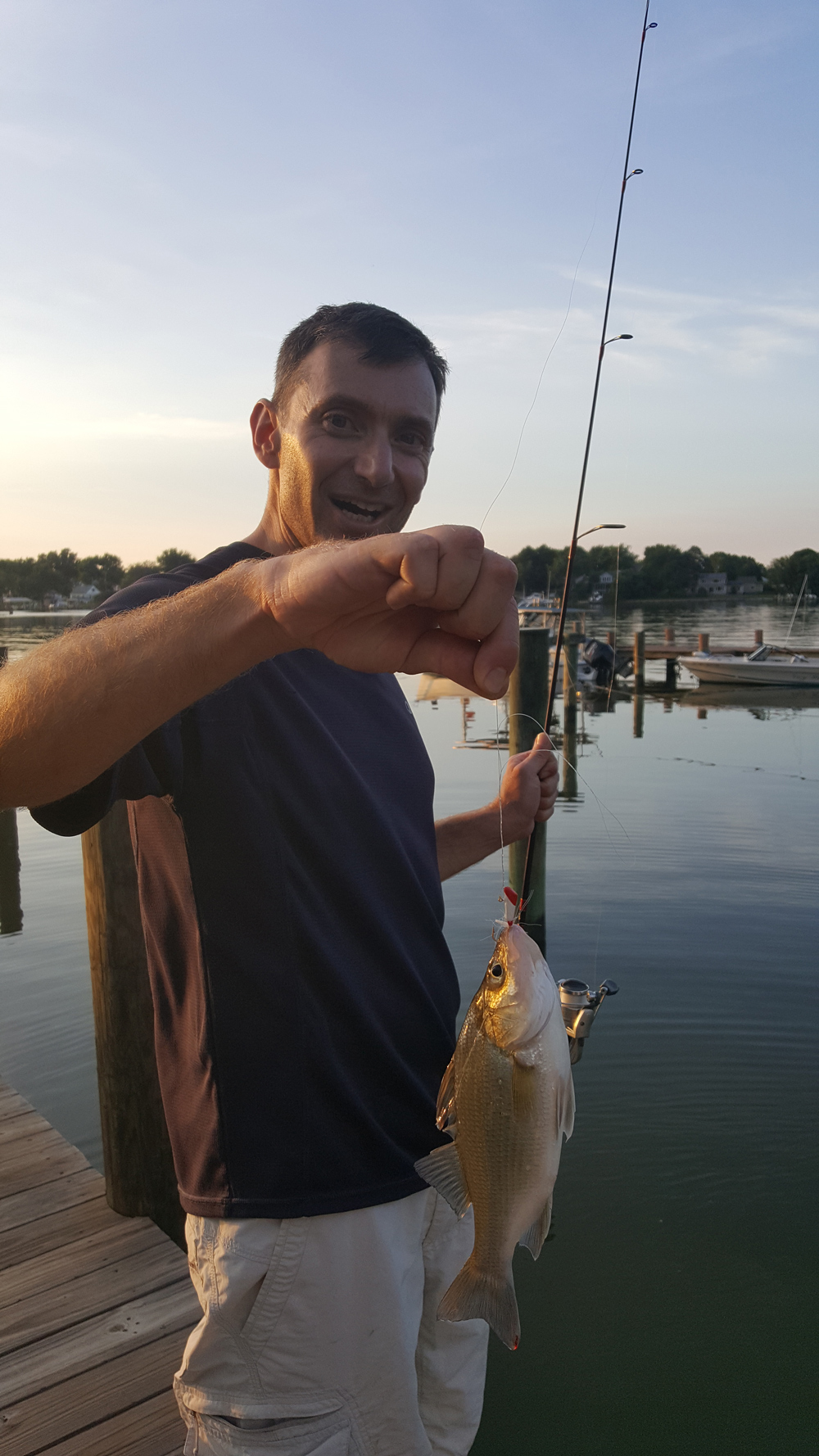 white perch in ramsey lake