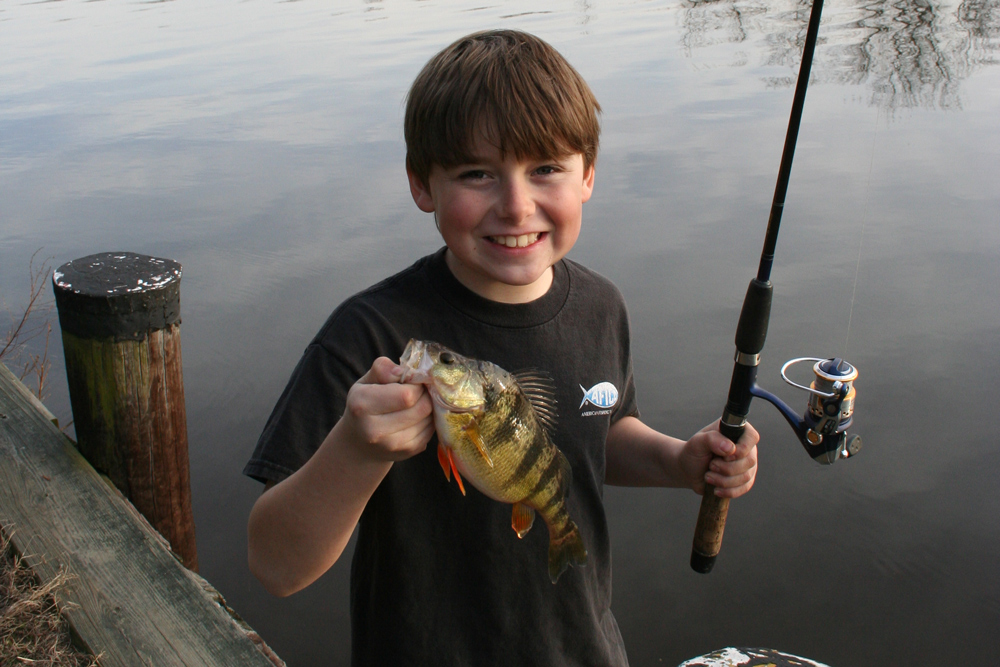 fishing for yellow perch