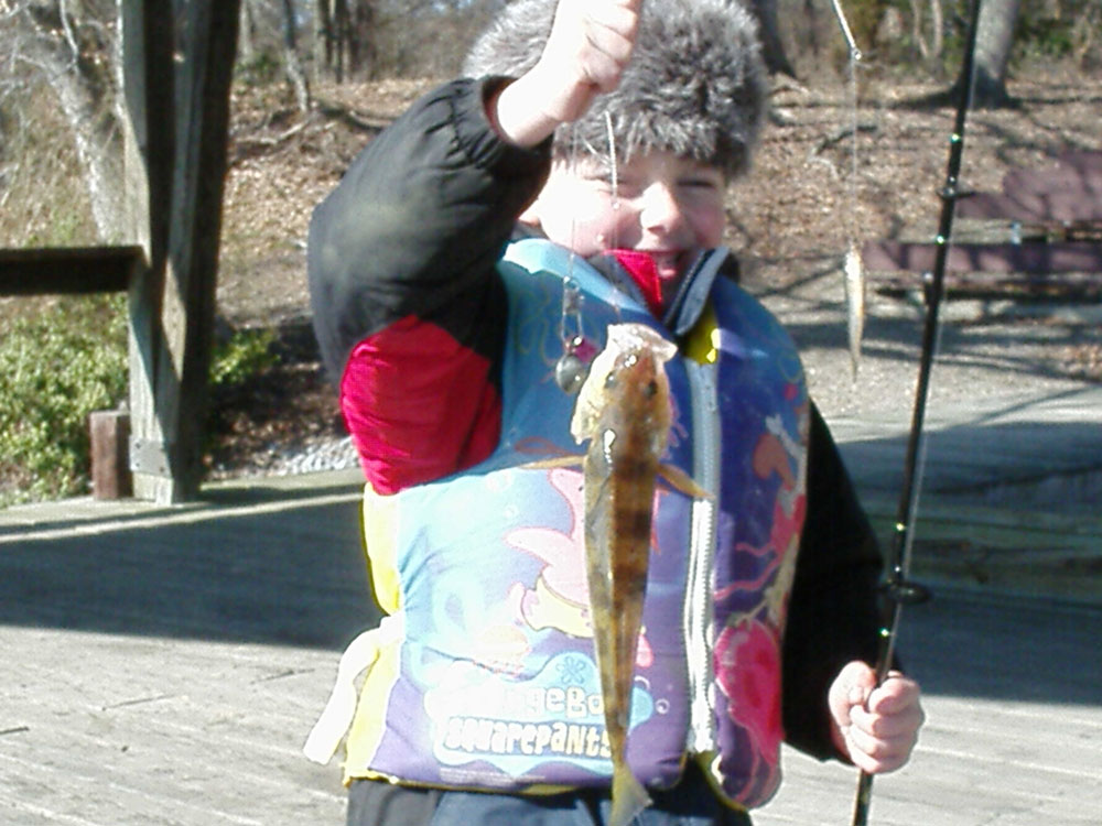 fishing for perch at martinak of choptank river